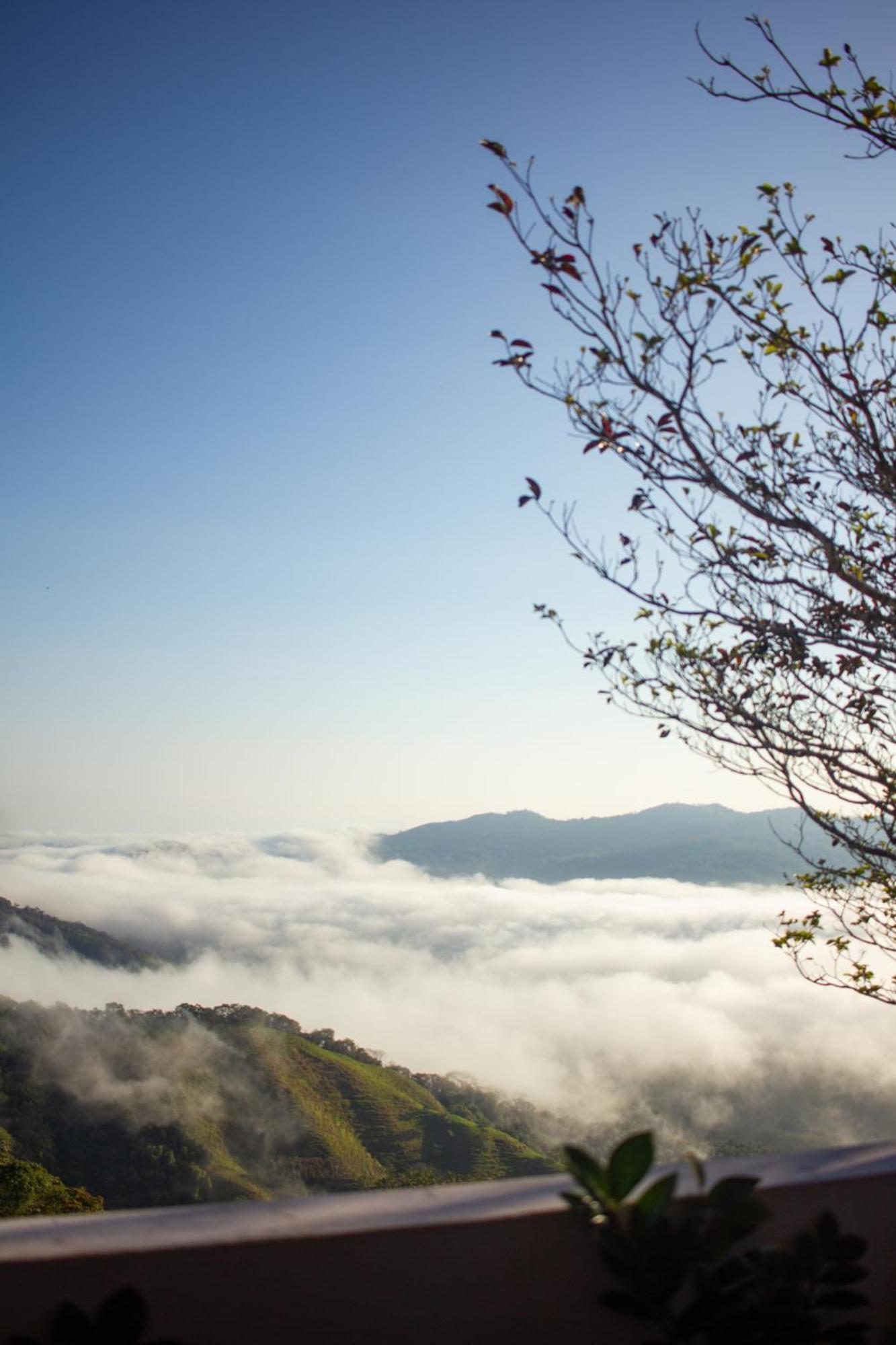 Nosara Hideaway 2 - Breakfast Included & Mountain View Cabins Nicoya Extérieur photo